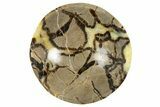 Eye-Eatching, Polished Septarian Bowl - Madagascar #342686-1